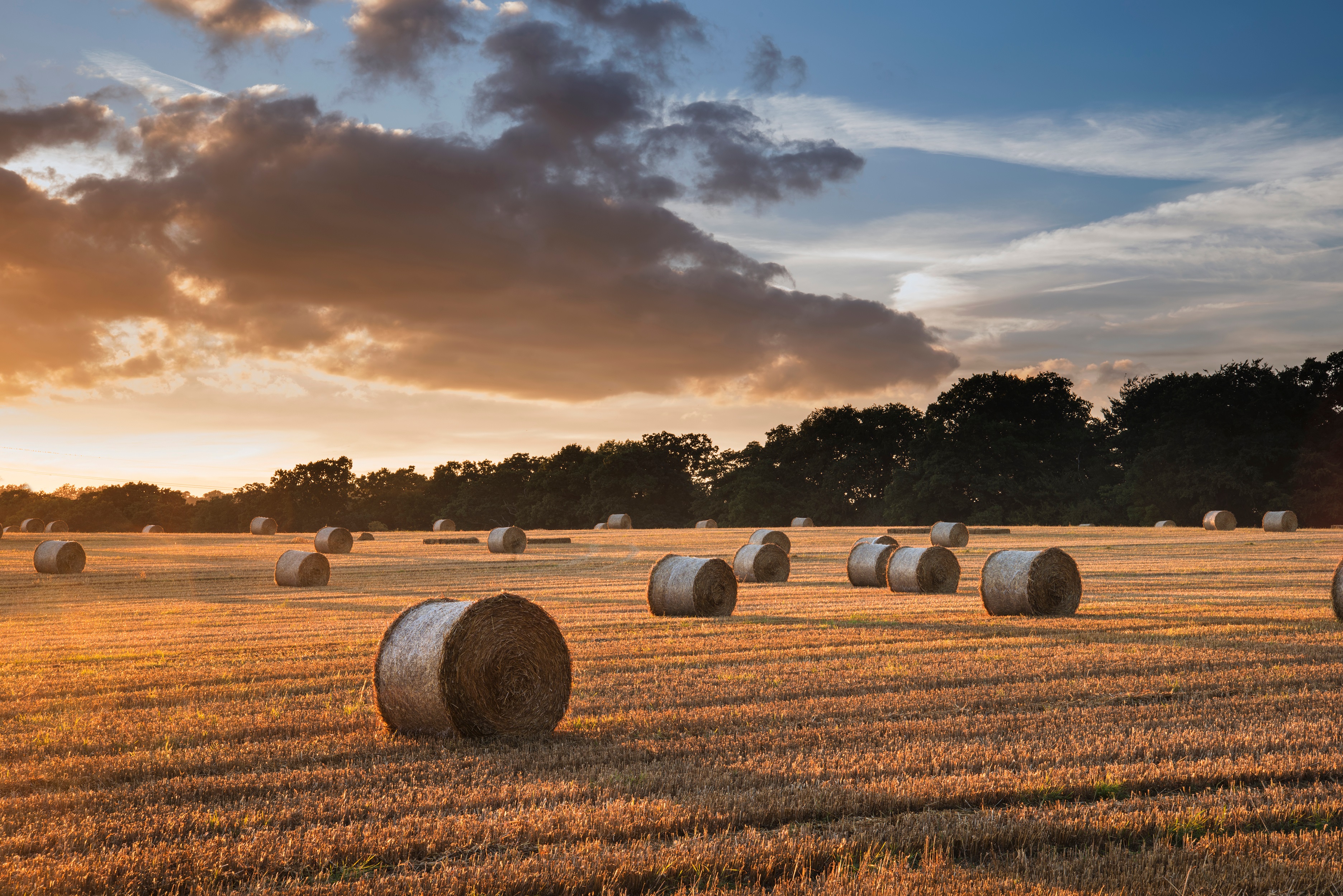Annual Hay & Straw Sale