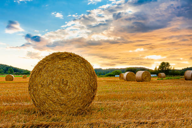 Annual Hay & Straw Sale