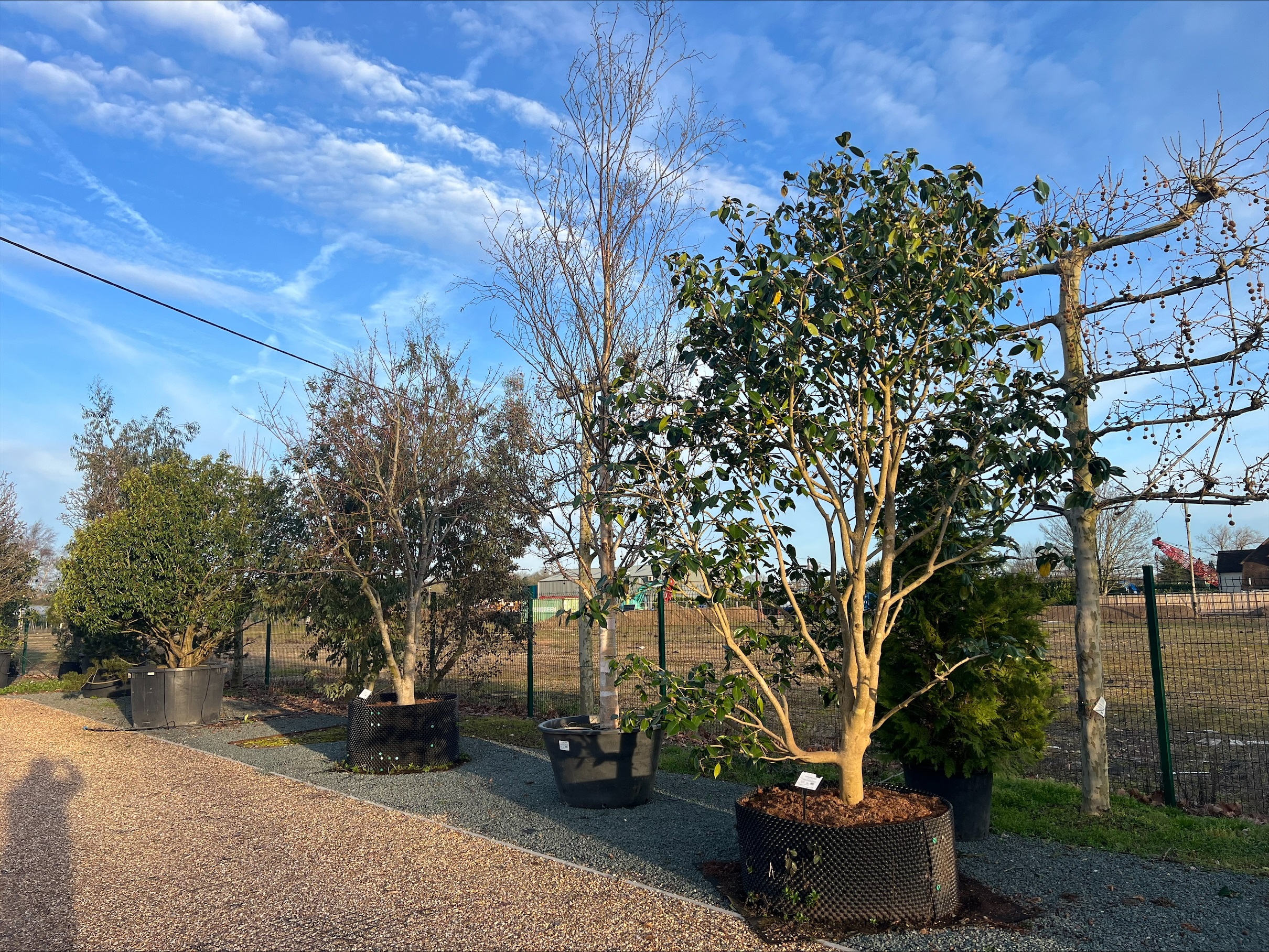 On Instruction of Tendercare