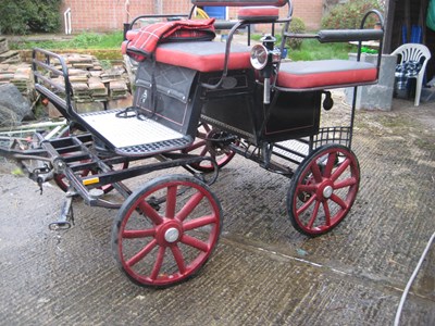 Lot 14 - EXERCISE CART