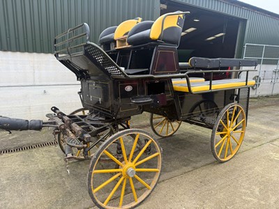 Lot 46 - LARGE WAGONETTE BREAK by Glinkowski of Poland