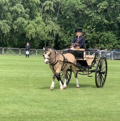 Lot 77 - STICK BACK GIG by Harewood of Devon
