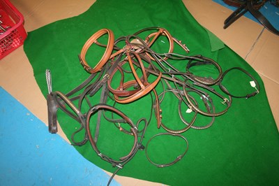 Lot 314 - Quantity of nosebands