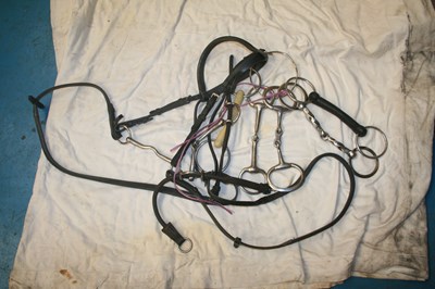 Lot 328 - Quantity of bits and a pony bridle