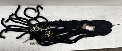 Lot 353 - Ten leadropes. This lot carries VAT.
