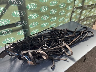 Lot 369 - Six assorted brown leather bridles, five complete with bits