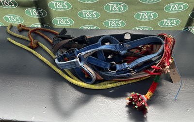 Lot 376 - Decorative headcollar together with three large headcollars