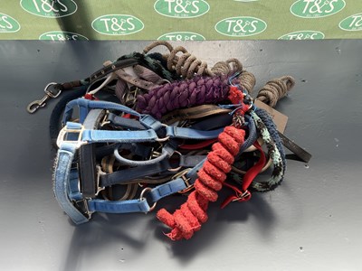 Lot 377 - Ten assorted headcollars together with nine headcollar ropes