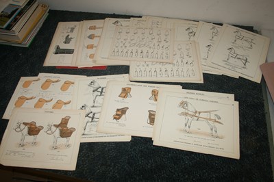 Lot 529 - Quantity of assorted harness plates from an old harness maker's catalogue