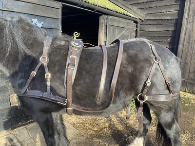 Lot 603 - Brown leather and brass breast collar harness to fit a large cob, no bridle or reins