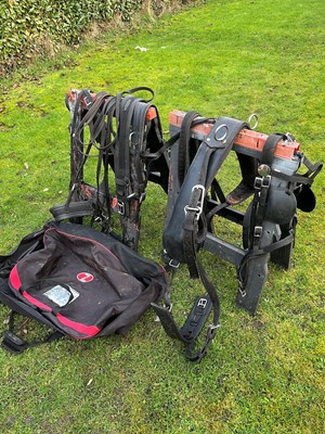 Lot 607 - Full size Zilco tedex harness with quick release tugs