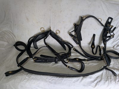 Lot 611 - Huskisson black leather Pairs harness to fit 15-16hh cob, complete with brass fittings, pole straps and brown reins.