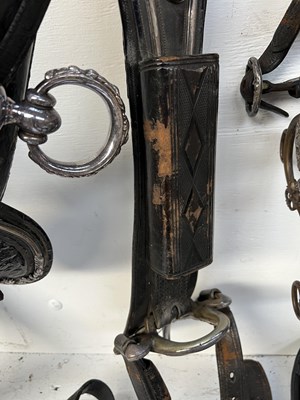 Lot 614 - Complete set of Pair state harness