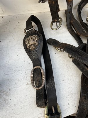 Lot 614 - Complete set of Pair state harness