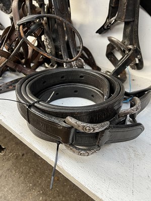 Lot 614 - Complete set of Pair state harness