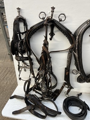 Lot 614 - Complete set of Pair state harness