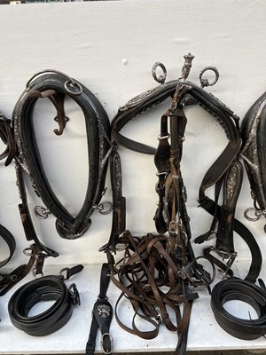 Lot 614 - Complete set of Pair state harness