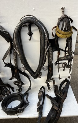 Lot 614 - Complete set of Pair state harness