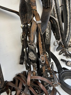 Lot 614 - Complete set of Pair state harness