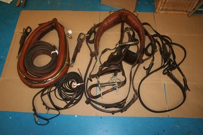 Lot 619 - Set of brown and brass full size collar harness