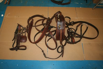 Lot 620 - Set of brown and brass cob size breastcollar harness