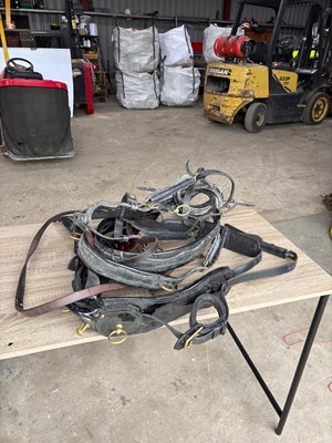 Lot 623 - Set of breastcollar harness