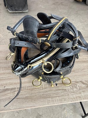 Lot 624 - Set of black harness with a 21" collar