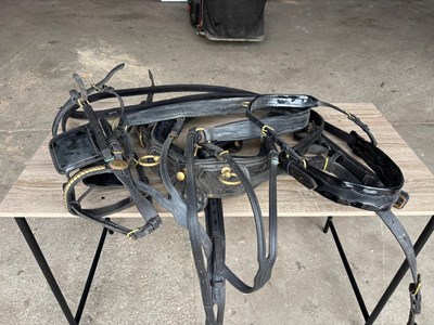 Lot 625 - Set of black breastcollar harness