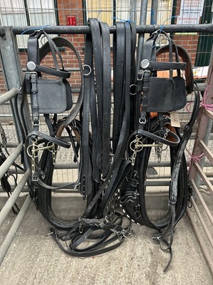 Lot 626 - Pair set of black and white metal full size collar harness with Scotch black metal hames and chain trace ends