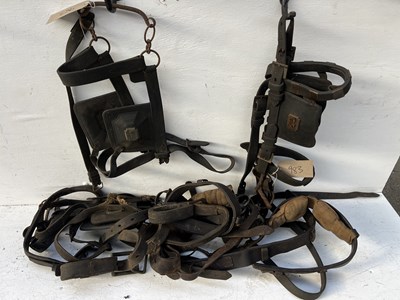 Lot 627 - Set of blue webbing pony harness