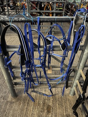 Lot 627 - Set of blue webbing pony harness