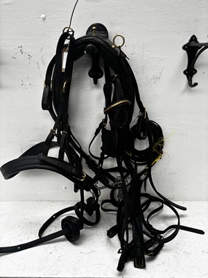 Lot 642 - Set of black and brass cob harness. This lot carries VAT.