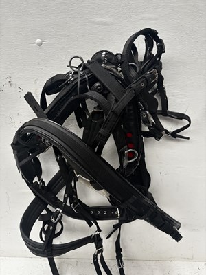 Lot 643 - Set of black and white metal Shetland webbing harness. This lot carries VAT.