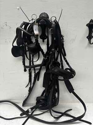 Lot 647 - Set of black and white metal Shetland harness. This lot carries VAT.