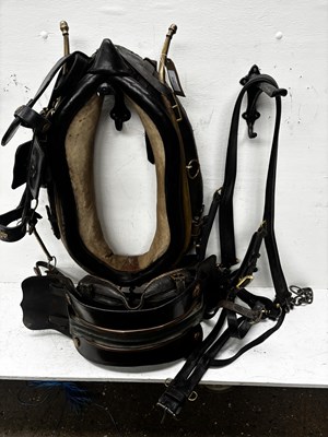 Lot 649 - Set of black and brass heavy horse harness with 28" collar. This lot carries VAT.