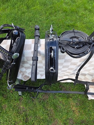 Lot 659 - Set of Pair harness with 22" collars, complete with reins, pole straps, and a trunk