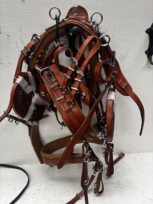 Lot 664 - Set of brown harness with collar