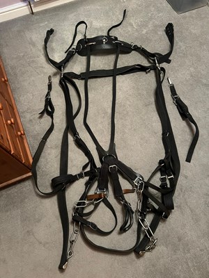 Lot 665 - Set of webbing harness with a heavy horse collar