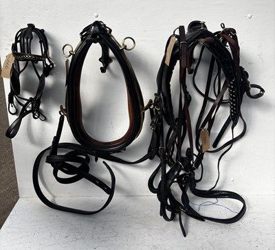 Lot 666 - Set of black patent leather show harness complete with a 22" collar