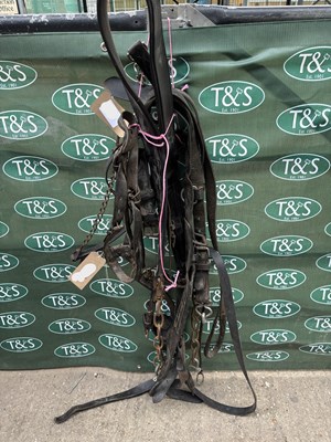 Lot 680 - Black leather bridle with brass fittings, black leather breeching with chains, two black leather backstraps and cruppers, one black leather chain end lead rope