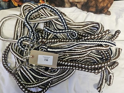 Lot 730 - Ten leadropes