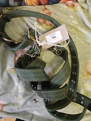 Lot 734 - Four tethering collars