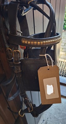 Lot 781 - Leather driving bridle together with leather harness traces, 60"