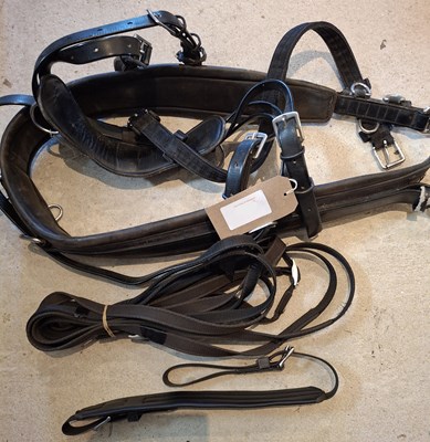 Lot 785 - Tedman cob size breastplate with Tedex reins and martingale