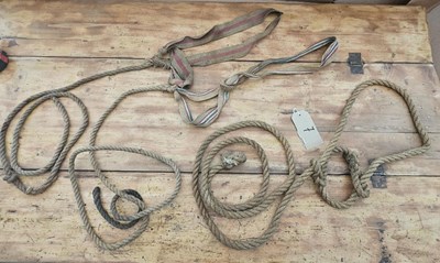 Lot 854 - Three webbing halters