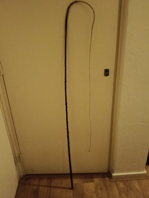 Lot 958 - Holly whip