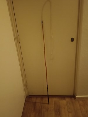 Lot 959 - Holly whip