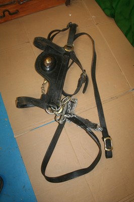 Lot 1011 - Heavy horse bridle