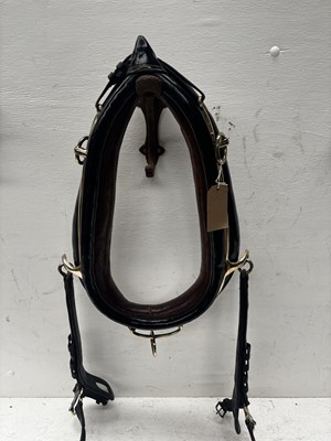 Lot 1042 - Pair of 21" black patent collars with brass hames. This lot carries VAT.