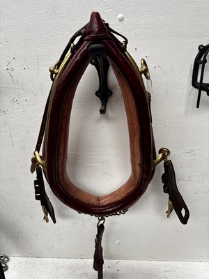 Lot 1043 - 21" English brown collar with brass hames. This lot carries VAT.